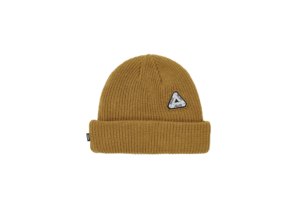 WINTER 2021 | PALACE